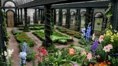 Kinh nghiệm thiết kế sân vườn, hoa viên cây cảnh đẹp tại Bình Dương - Chăm Sóc Cây Xanh