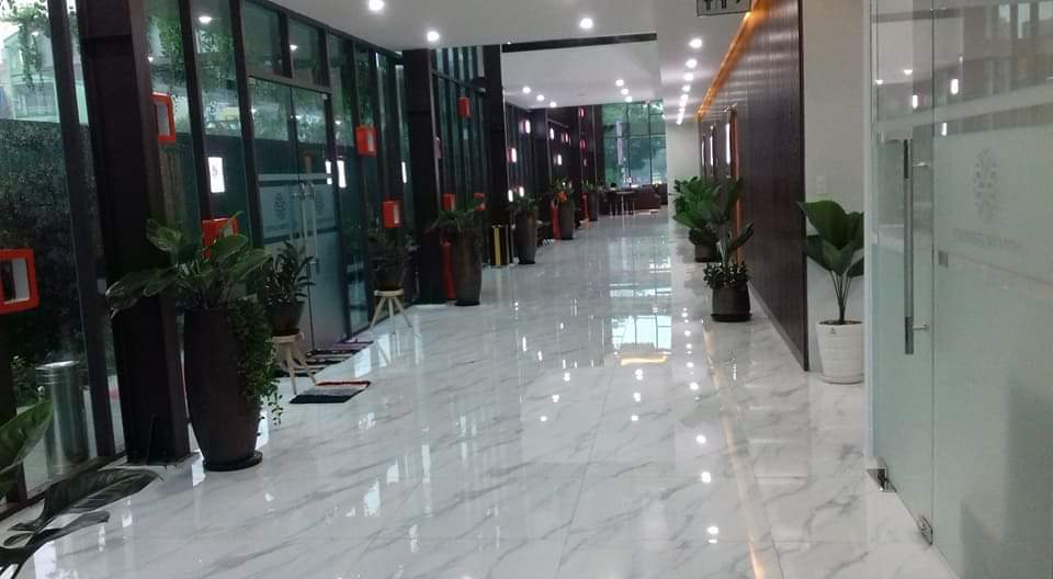 Dịch vụ cho thuê cây văn phòng tại Bình Dương