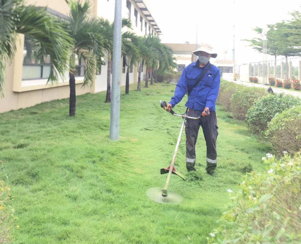 Chăm Sóc Cây Xanh