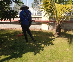 dịch vụ cắt cỏ khu công nghiệp