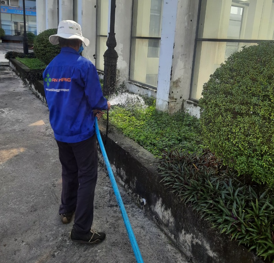 Những đối tượng cần đến dịch vụ chăm sóc cây xanh Những đối tượng cần đến dịch vụ chăm sóc cây xanh