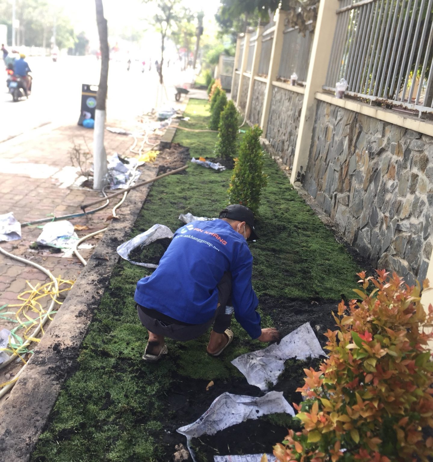 Quy trình thi công dịch dịch vụ trồng cây xanh Quy trình thi công dịch dịch vụ trồng cây xanh