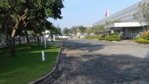 Thi công trồng cỏ chăm sóc cây xanh khu công nghiệp VSIP 1 Bình Dương