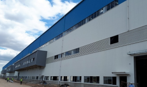 Thi công trồng cỏ chăm sóc cây xanh tại Công Ty Cheng Loong KCN An Tây