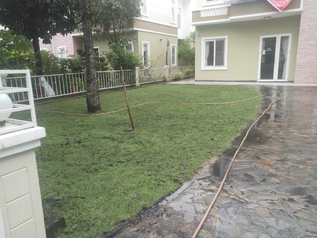 Chăm Sóc Cây Xanh