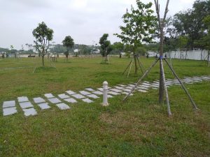 Dịch vụ trồng cỏ chăm sóc cây xanh khu công nghiệp Bình Dương