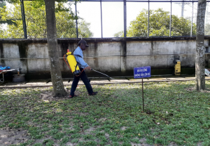 Giải pháp thi công trồng cỏ chăm sóc cây xanh Thành Phố Mới Bình Dương