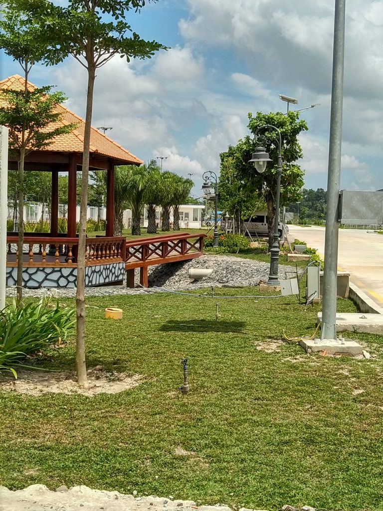 Chăm Sóc Cây Xanh