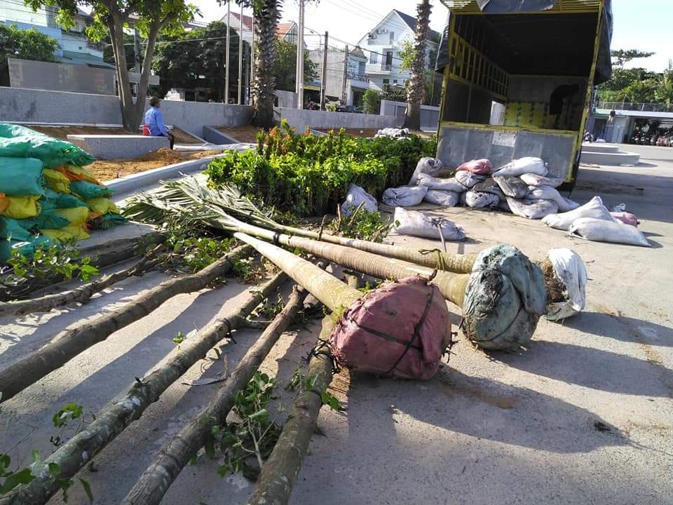 Dịch vụ chuyên nghiệp đúng kỹ thuật Dịch vụ chuyên nghiệp đúng kỹ thuật
