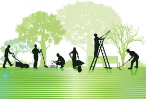 Chăm sóc sân vườn Bình Dương Ngoại Thất Xanh