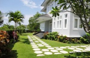 Dịch vụ chăm sóc cây cảnh thành phố mới