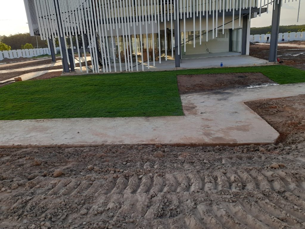 Chăm Sóc Cây Xanh