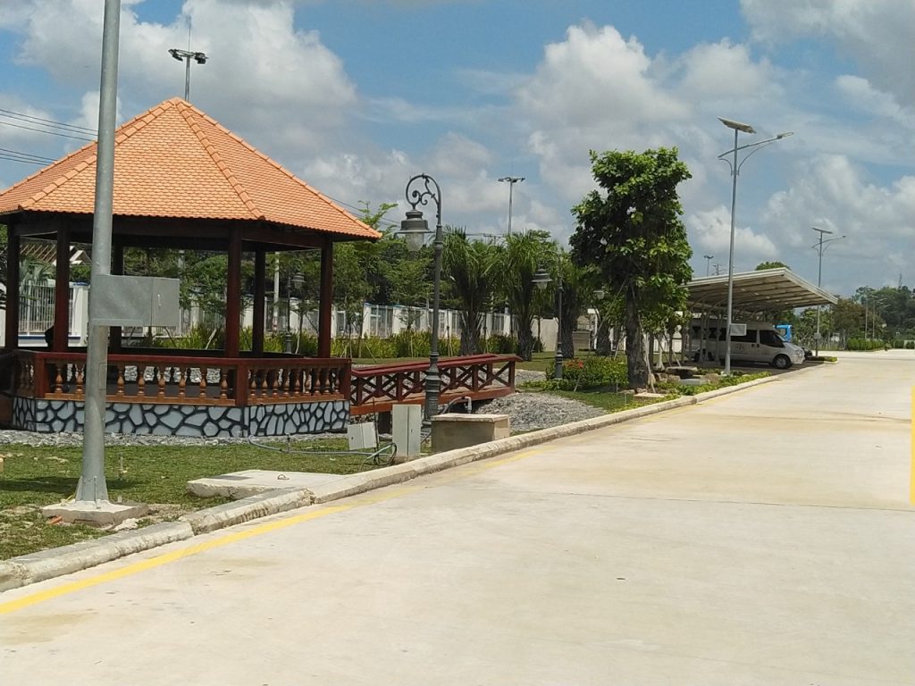 Chăm Sóc Cây Xanh
