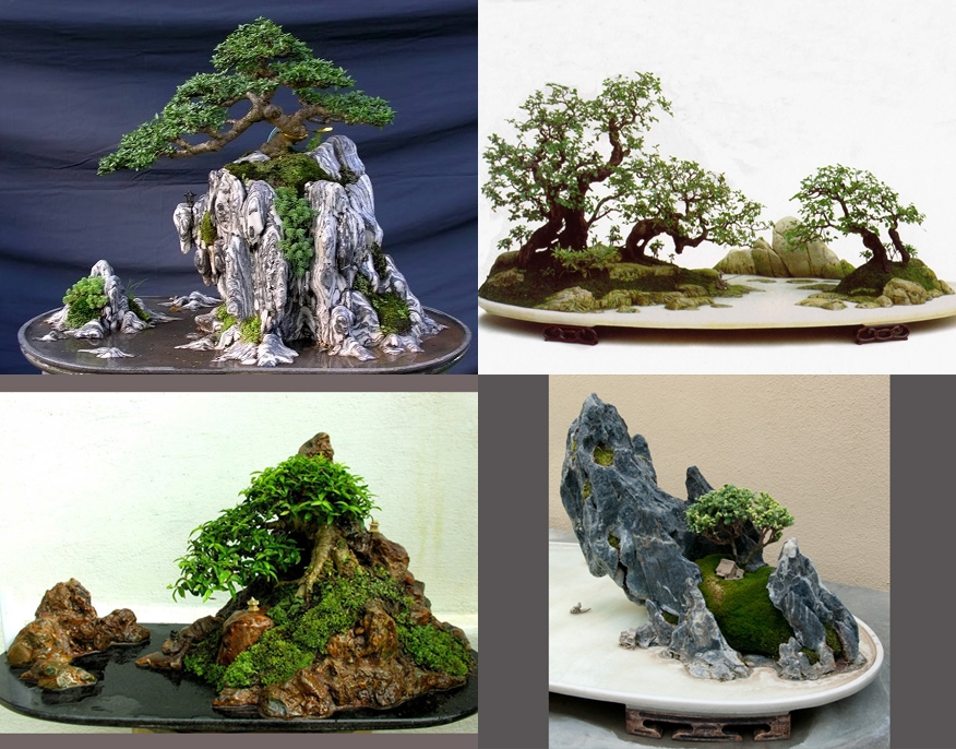 Những mẫu thiết kế thi công cây tiểu cảnh sân vườn đẹp tại Bình Dương -  Chăm Sóc Cây Xanh
