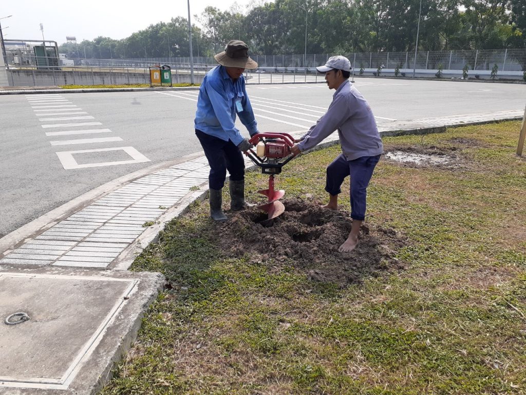 Chăm Sóc Cây Xanh