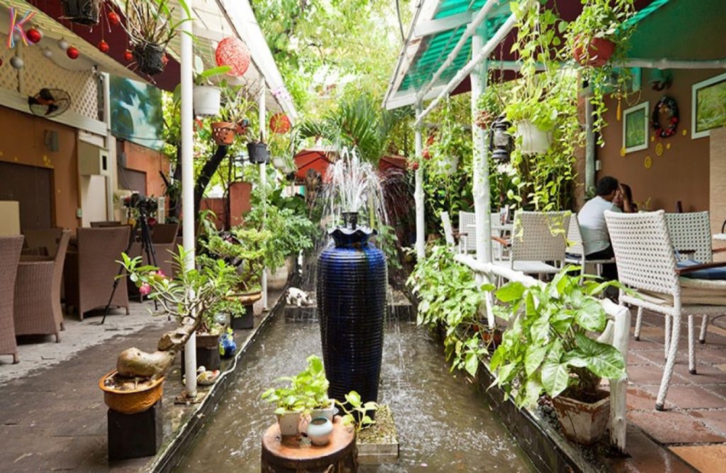 Chăm Sóc Cây Xanh