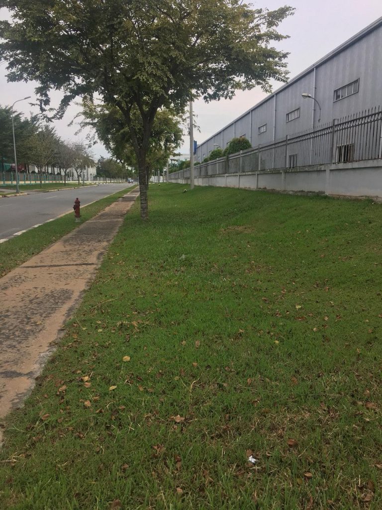 Chăm Sóc Cây Xanh