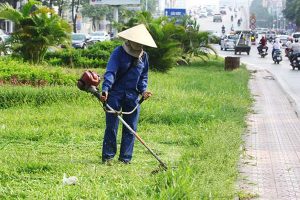 Dịch vụ cắt cỏ phát hoang khu công nghiệp Bình Thuận