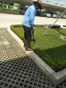 Dịch vụ chăm sóc thảm cỏ khu công nghiệp Bình Thuận