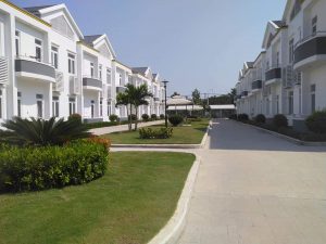 Chăm sóc cảnh quan tại Củ Chi giá rẻ
