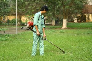 Dịch vụ cắt cỏ tại Củ Chi