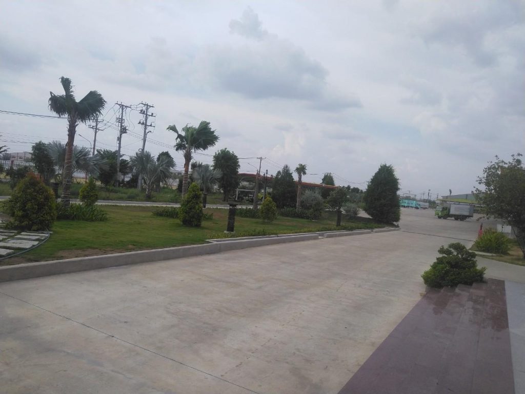 Chăm Sóc Cây Xanh