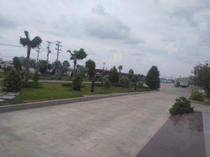 Dịch vụ cây xanh công trình tại Củ Chi