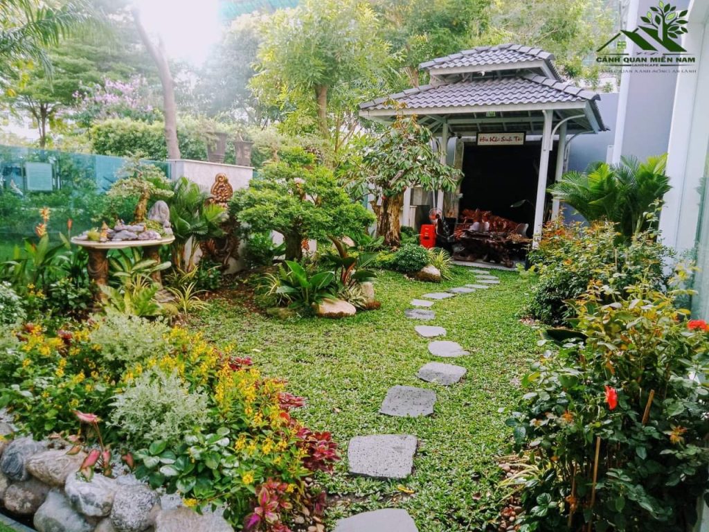 Chăm Sóc Cây Xanh