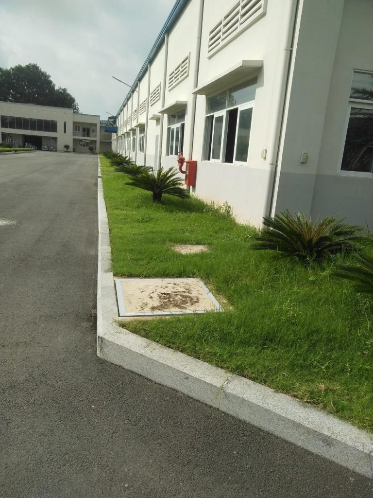 Chăm Sóc Cây Xanh