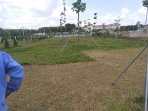 Dịch vụ thiết kế thi công cây xanh Củ Chi