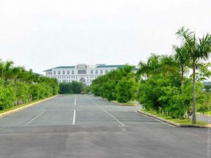 Dịch vụ cắt cỏ phát hoang KCN Tân Đức