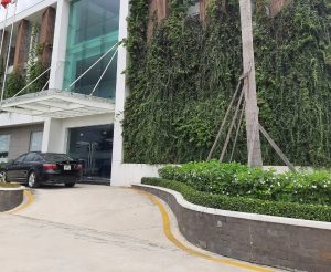 Chăm sóc cây xanh tại KCN TÂN HẢI