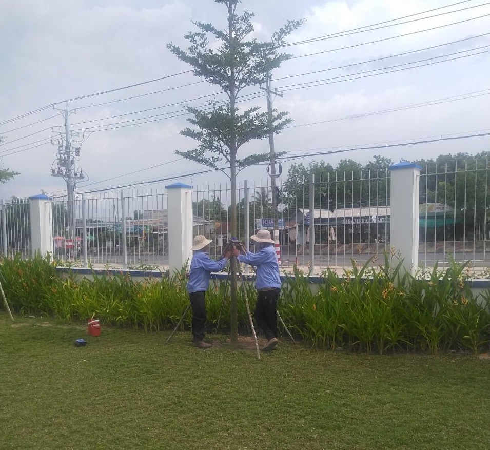 thực hiện dịch vụ trồng cây xanh khu công nghiệp Hàm Kiêm