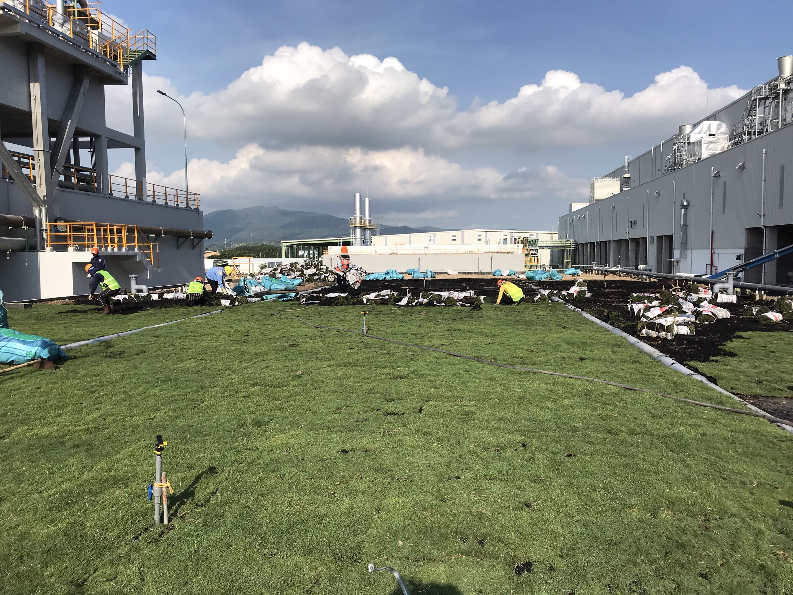 Thực hiện trồng cỏ khu công nghiệp Hàm Kiêm