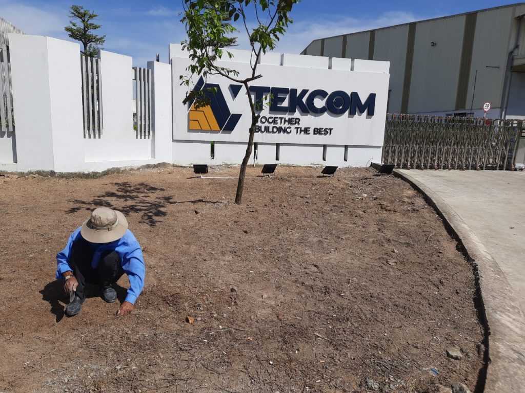 Chăm Sóc Cây Xanh