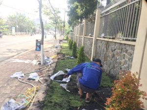 Dịch vụ trồng cỏ tại KCN Hàm Cường uy tín