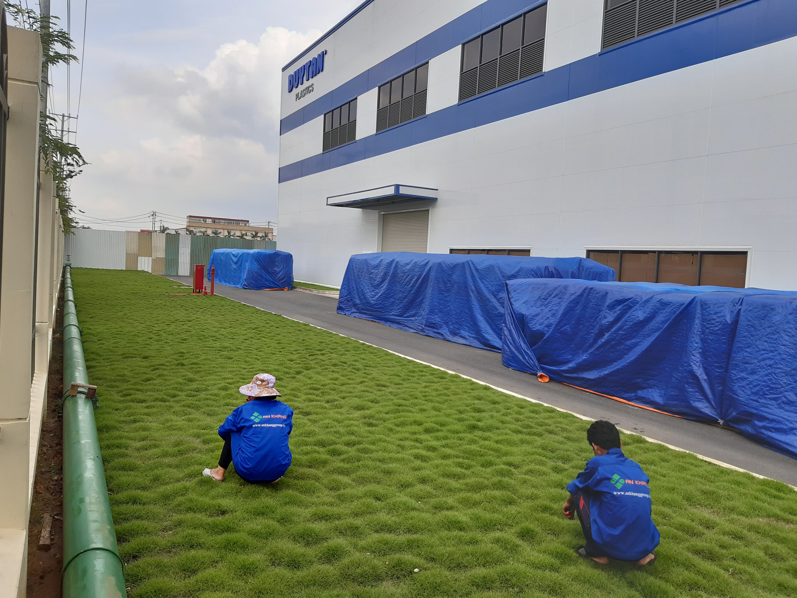Thực hiện trồng cỏ khu công nghiệp Bình Thuận với nhân viên An Khang