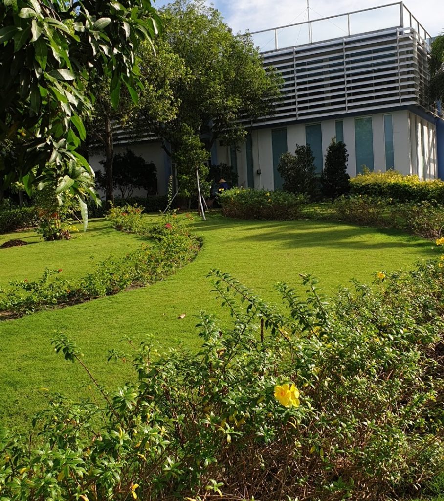 Chăm Sóc Cây Xanh