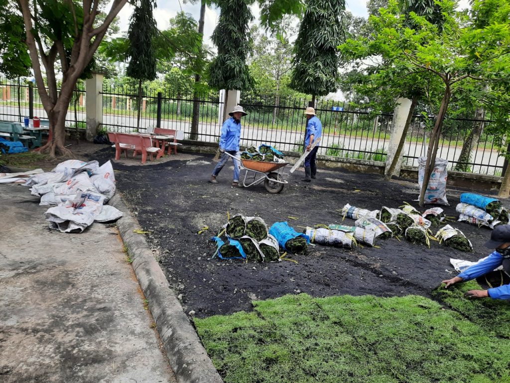 Chăm Sóc Cây Xanh