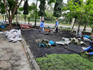 Đơn vị thi công cảnh quan tại Thuận An Bình Dương uy tín