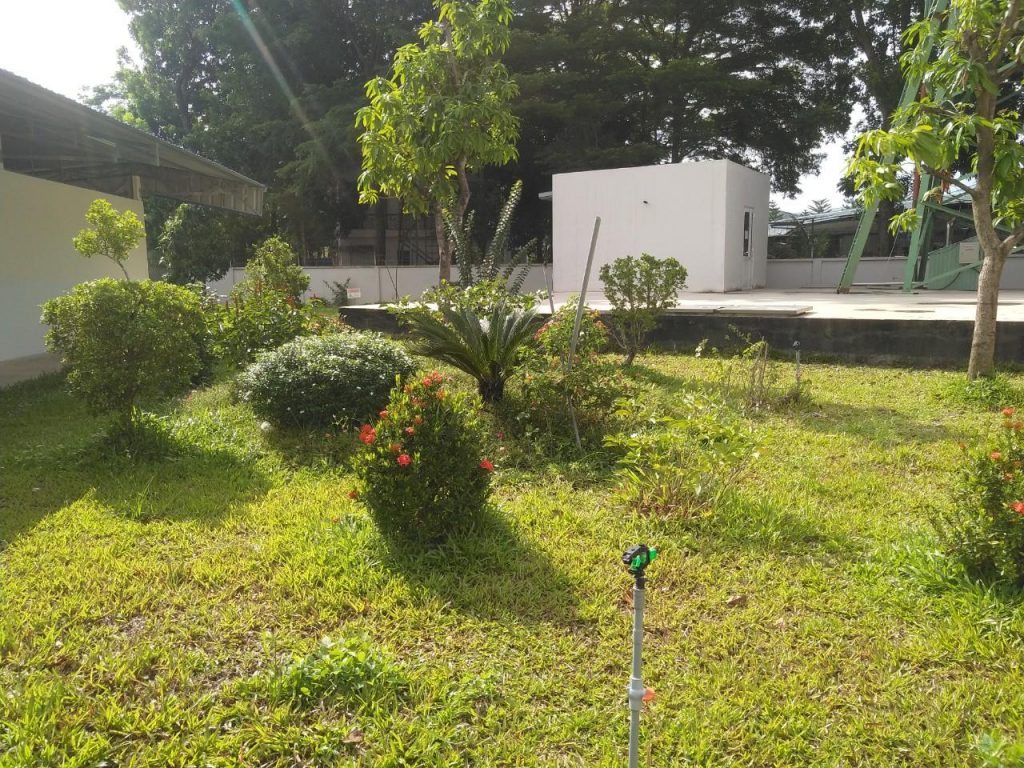 Chăm Sóc Cây Xanh