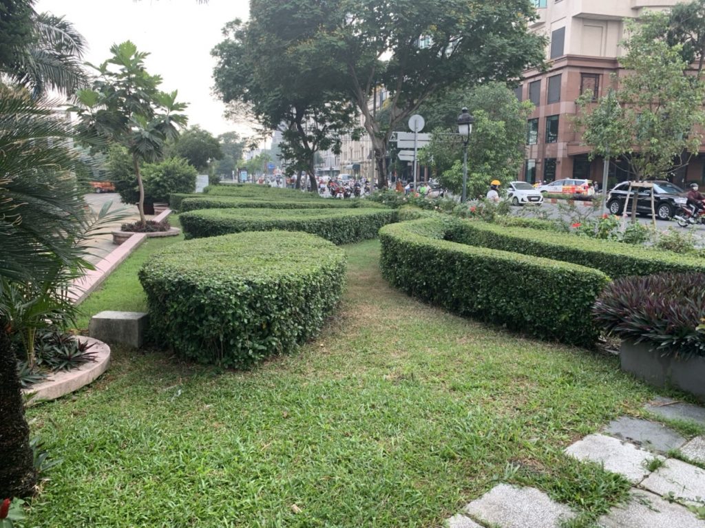 Chăm Sóc Cây Xanh