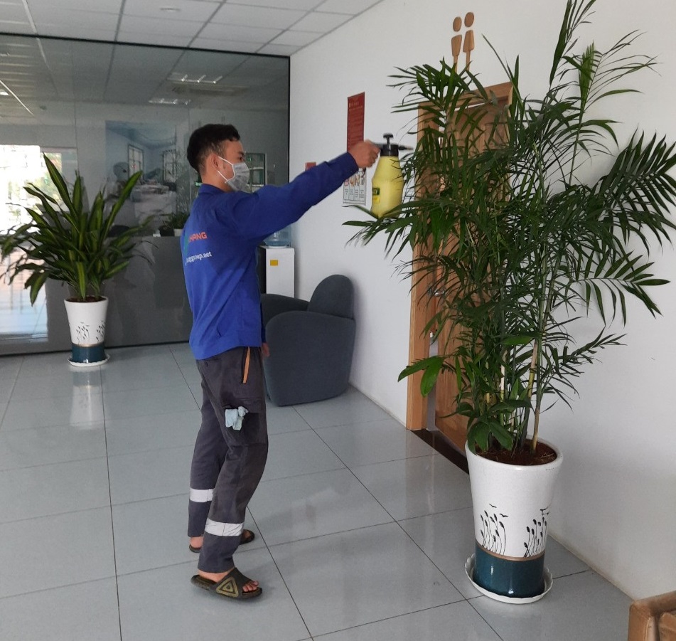 Cho thuê cây xanh văn phòng An Khang