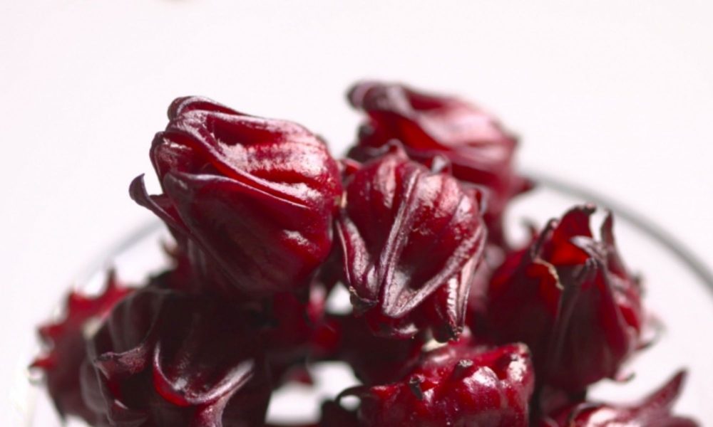 Cùng tìm hiểu về cách trồng hoa Atiso đỏ