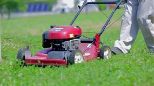 Cắt cỏ tại Đồng Xoài Bình Phước