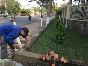 Công ty trồng cỏ tại Đồng Xoài Bình Phước