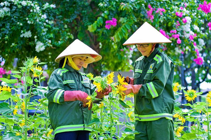 Đơn vị chăm sóc cây xanh tại Đồng Xoài Bình Phước uy tín