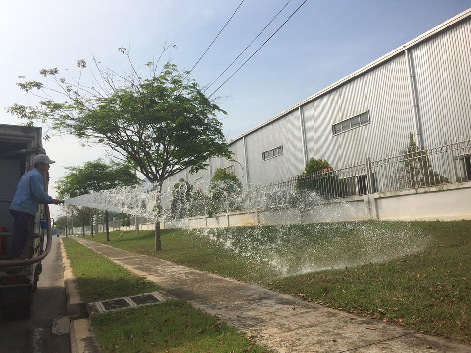 Dịch vụ chăm sóc cây xanh tại An Khang