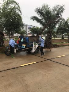 Chăm sóc cây xanh ở Phước Long Bình Phước