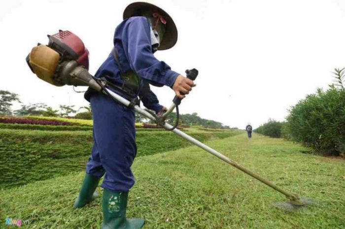 Quy trình cắt cỏ tại An Khang